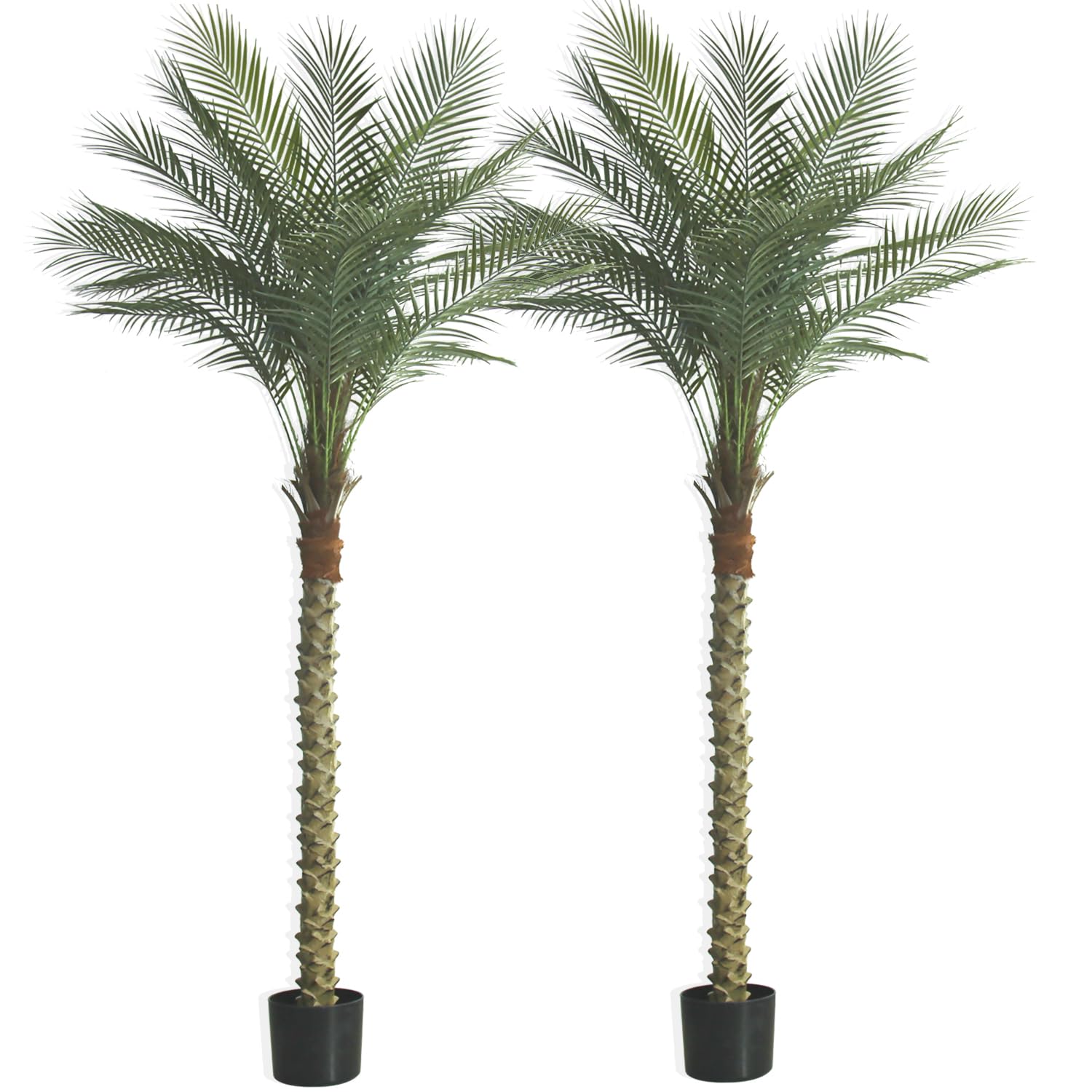 G&A love SK 6.8ft Artificial Palm Trees 2-Pack