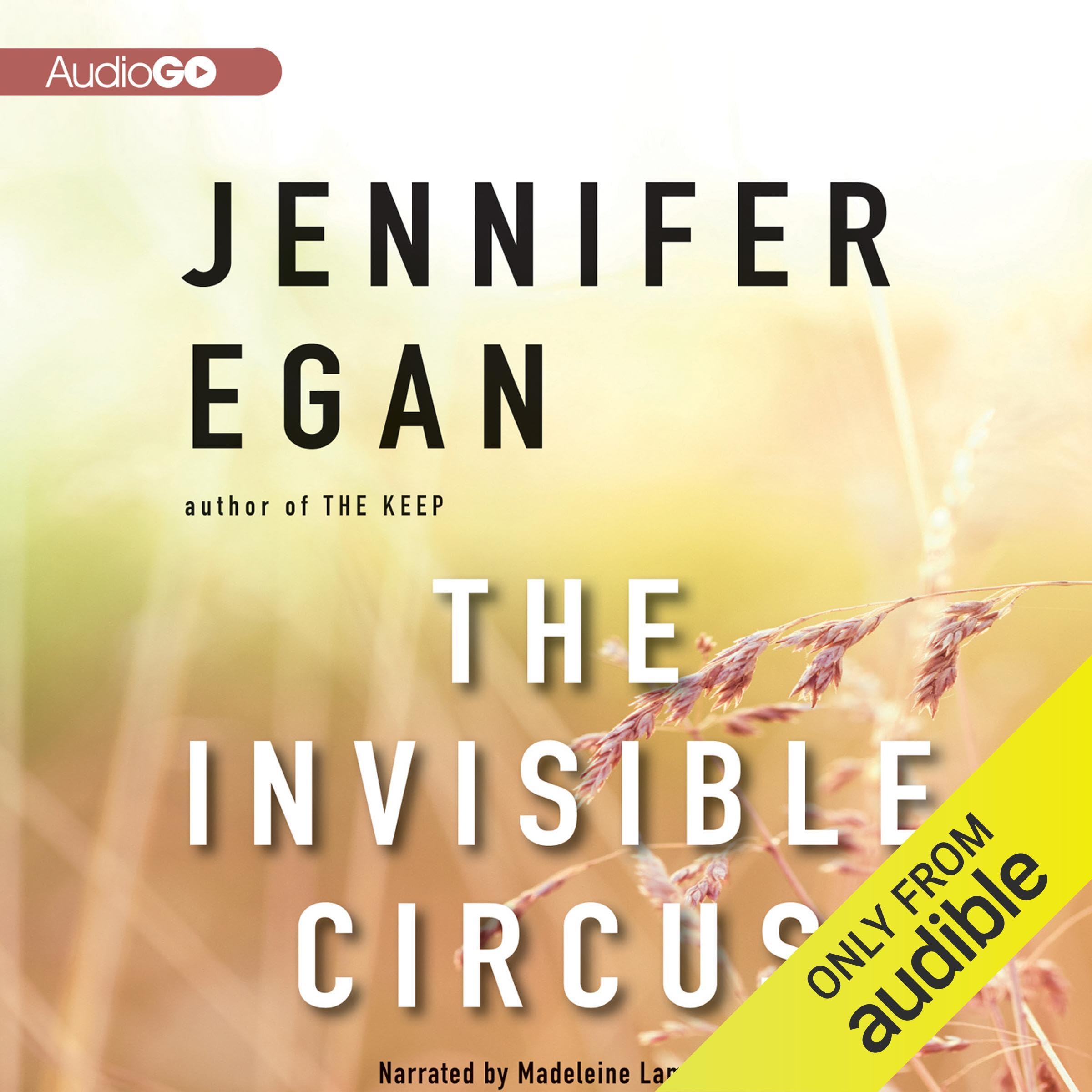 Cover art for The Invisible Circus