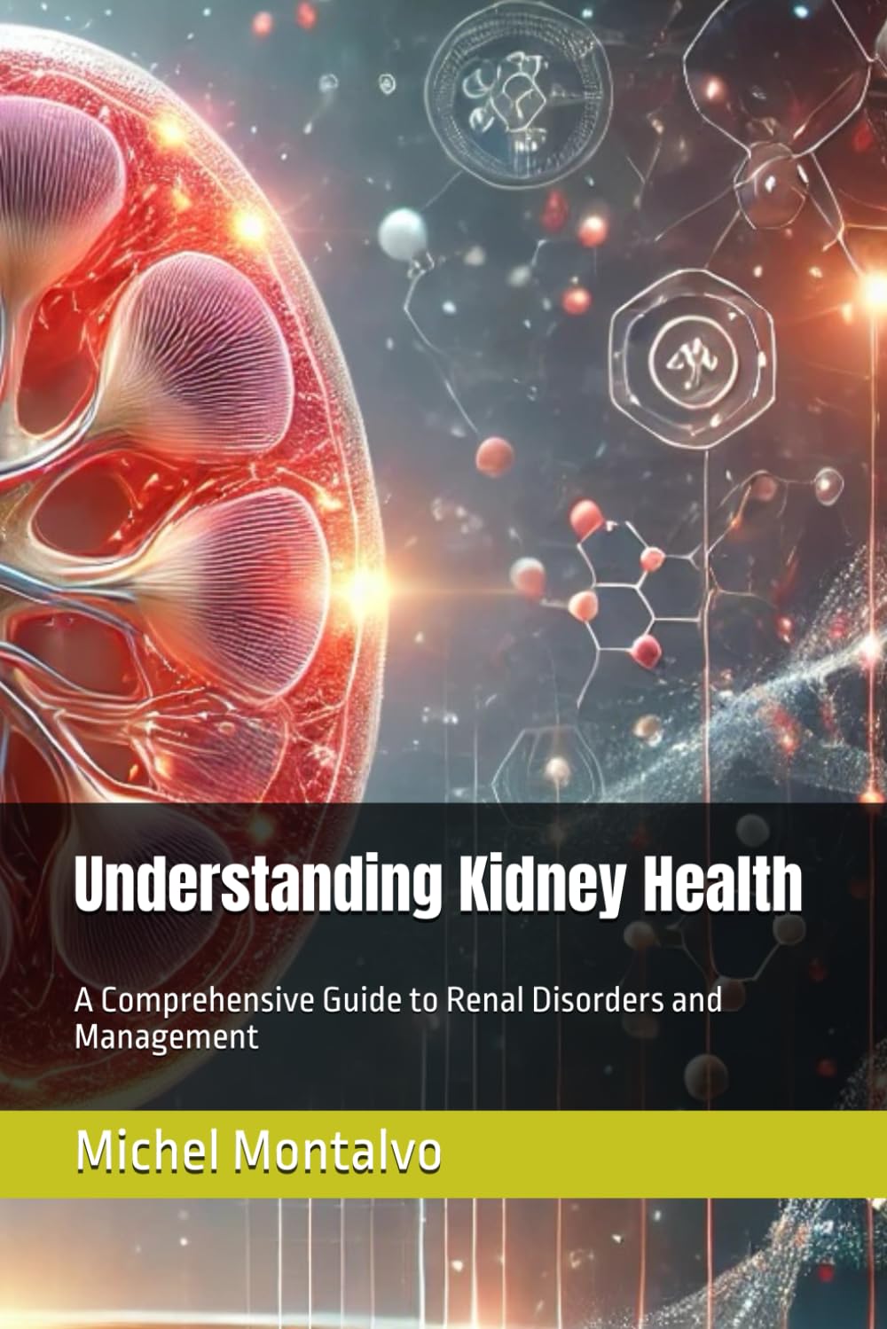 Understanding Kidney Health: A Comprehensive Guide to Renal Disorders and Management