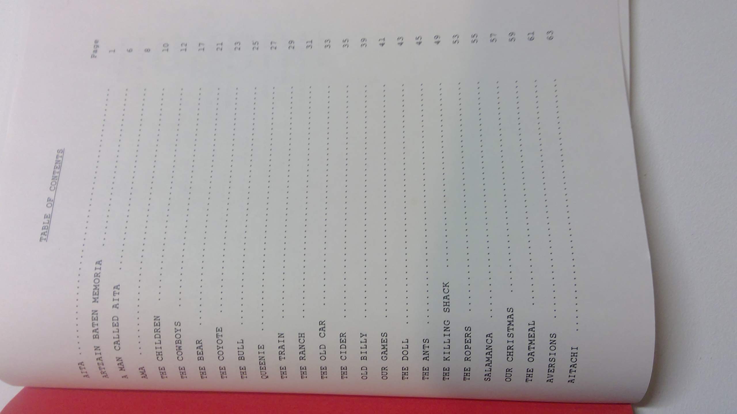 Joan ErreaA Man Called AITA (Diaspora and Migration Studies)