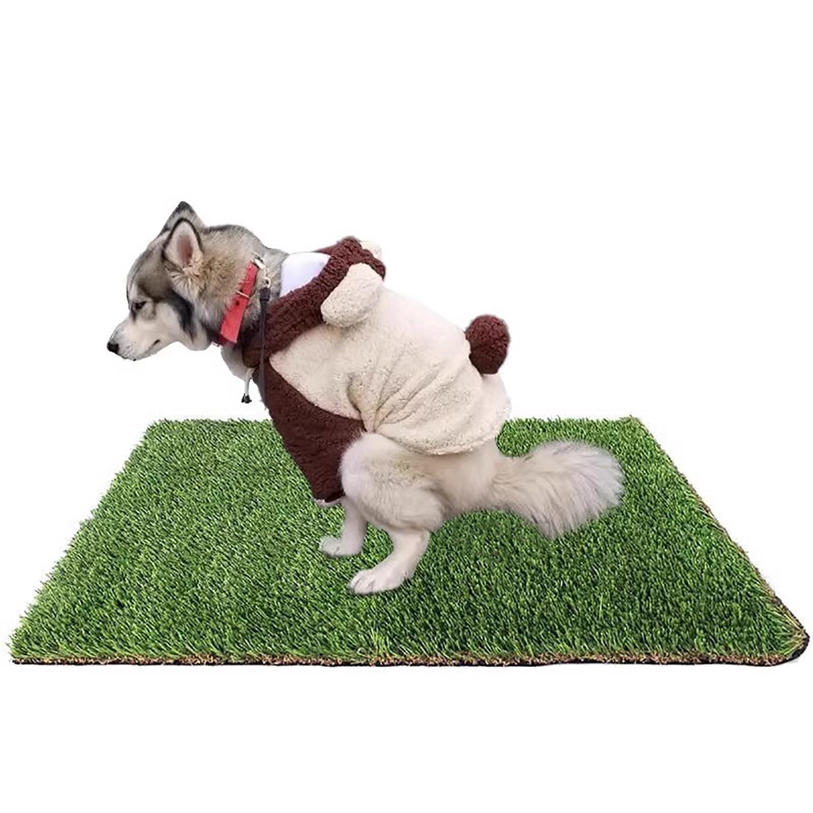 Alfombra de césped artificial para adiestrar perros sin ensuciar la casa en áreas de 39x39"