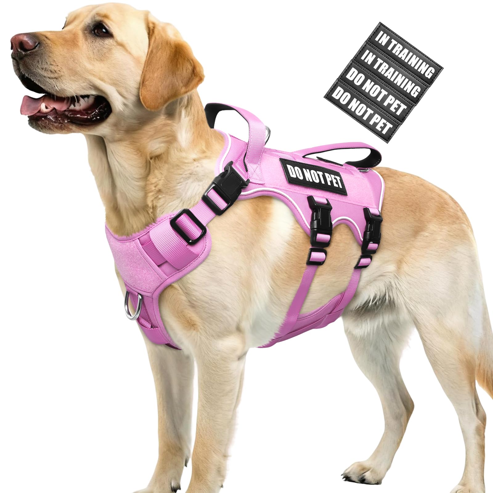 WINSEE Escape Proof Dog Harness, Service Working Molle Harness with Double Handle, Tactical Pet Vest with 4 Patches for Small Medium Large Dogs Walking Hiking Hunting