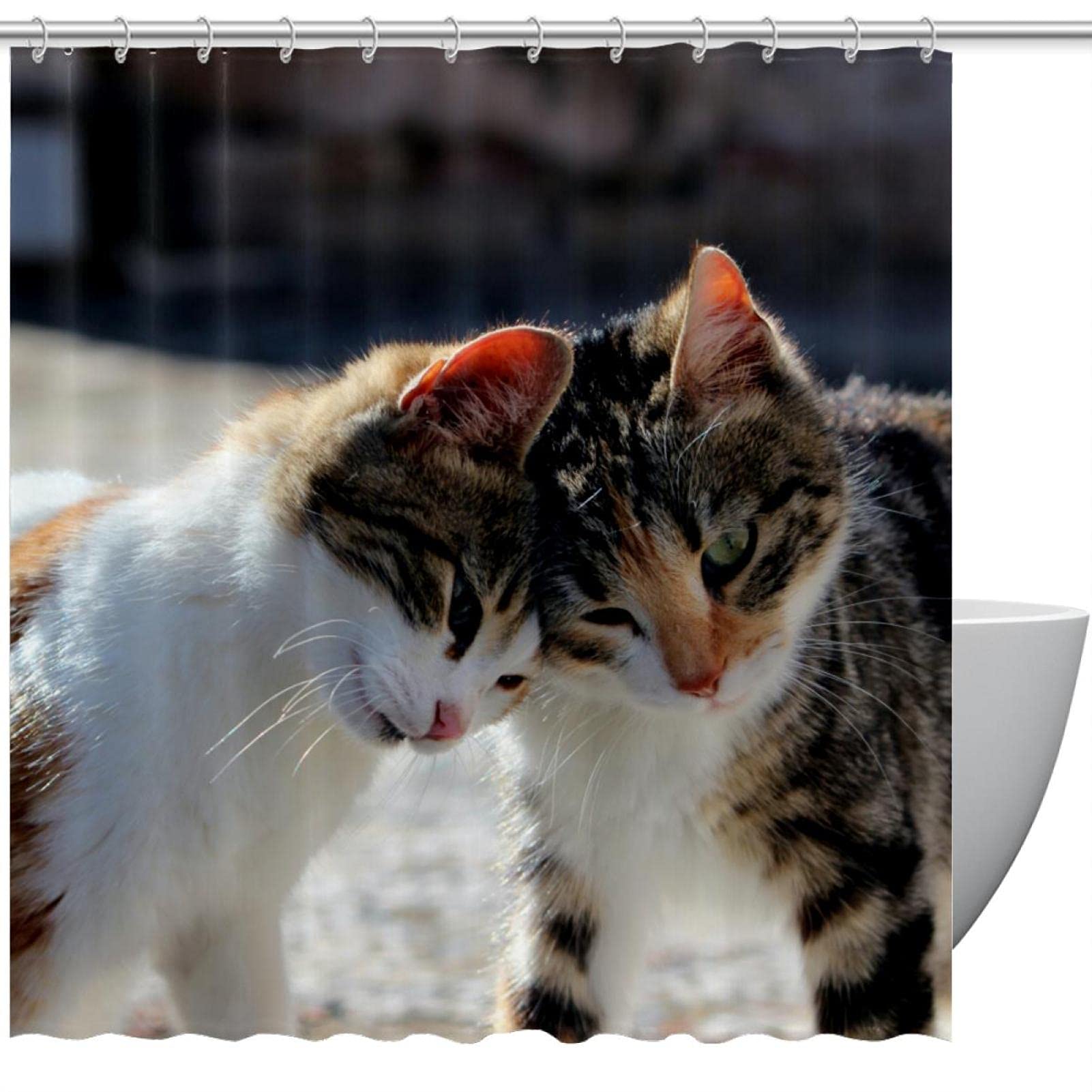 Rideaux de douche à deux chats 60x72 pouces avec 12 crochets