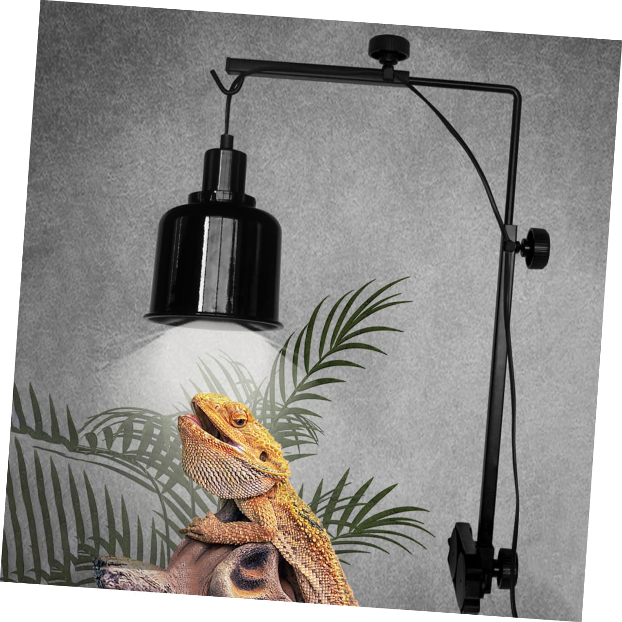 Abaodam Supporto Lampada Rettile per Acquari e Tartarughe Staffa Alta Durata per Lampade Riscaldanti e Illuminazione Terrari Accessorio Multifunzionale per Serbatoi Pesci e Rettili
