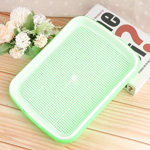 Miniatura 7 de Juego de bandejas de germinado prémium con bandeja de agua para pasto de trigo y microgreens con diseño ventilado de alta tasa de brotación