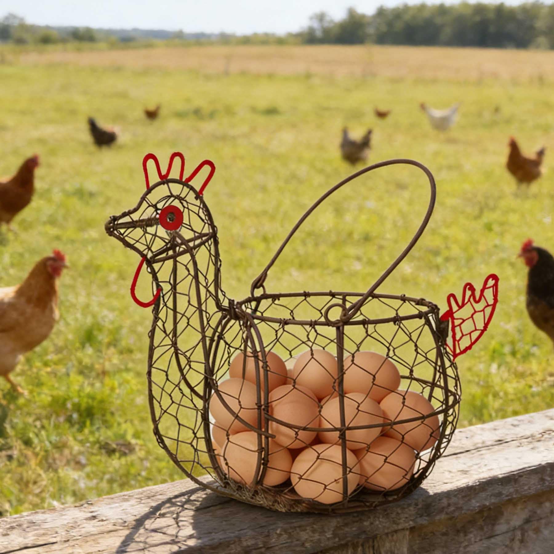 Corbeille à Œufs En Fil Métallique Avec Couvercle Poule En Céramique - Capacité 30 Œufs