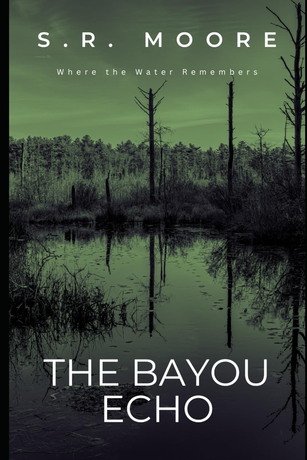 The Bayou Echo: Where the Water Remembers