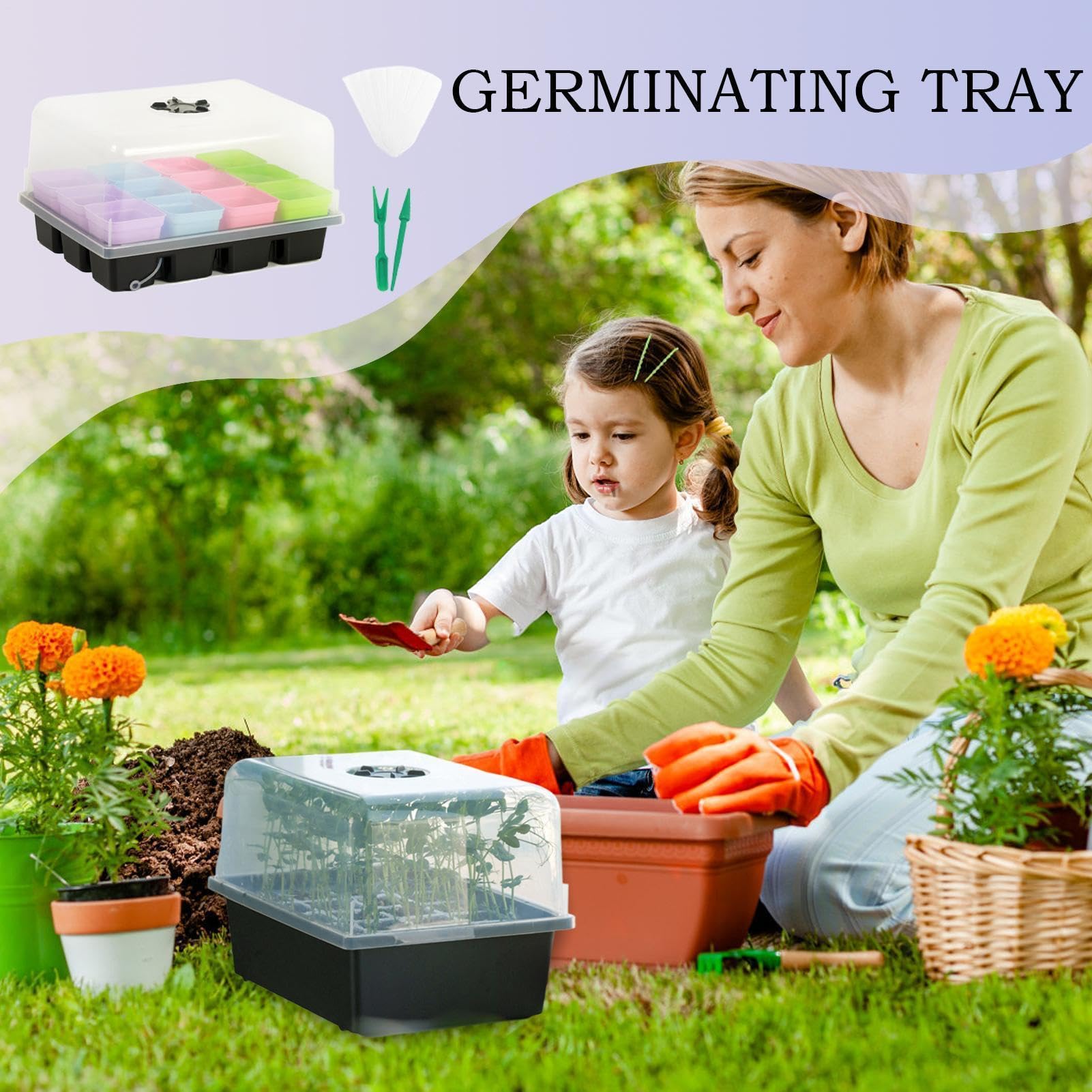 Kit per Germinazione Semi Set Piante Riutilizzabile