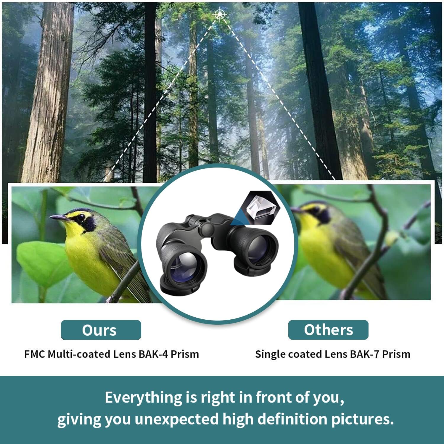 Binoculars 20x50 for Adults,Waterproof/Professional Binoculars Durable & Clear BAK4 Prism FMC Lens,Suitable for Outdoor Sports,Concert and Bird Watching : Electronics
