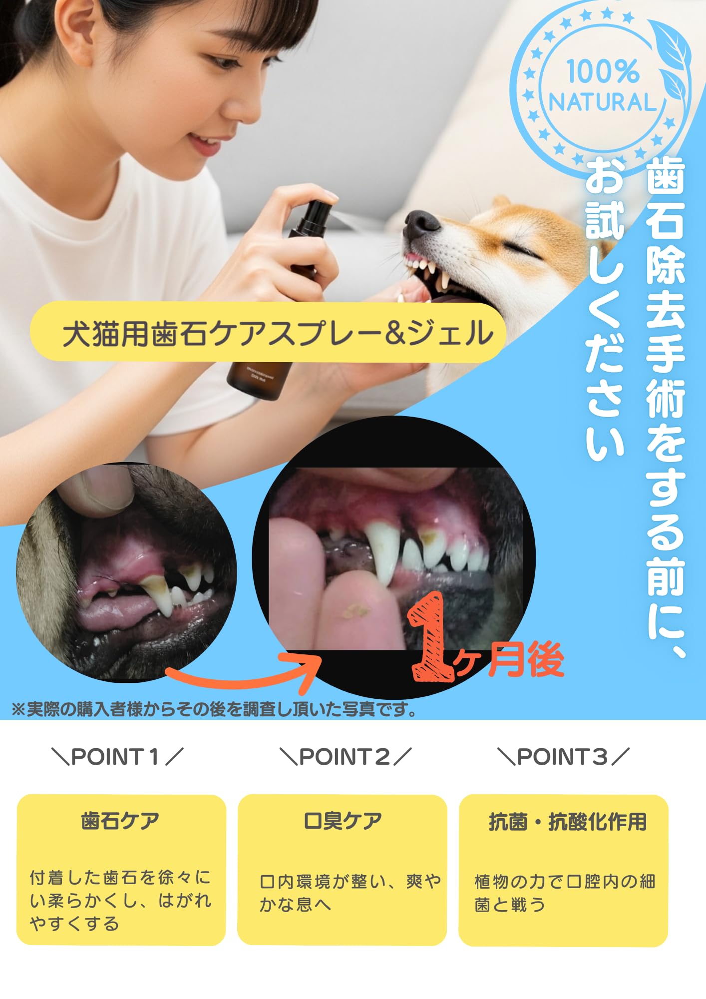 REDENTA 犬猫用歯石ケアスプレー2本セット Amazon | ReDenta(リデンタ) 犬猫用・歯石ケアスプレー 50ml