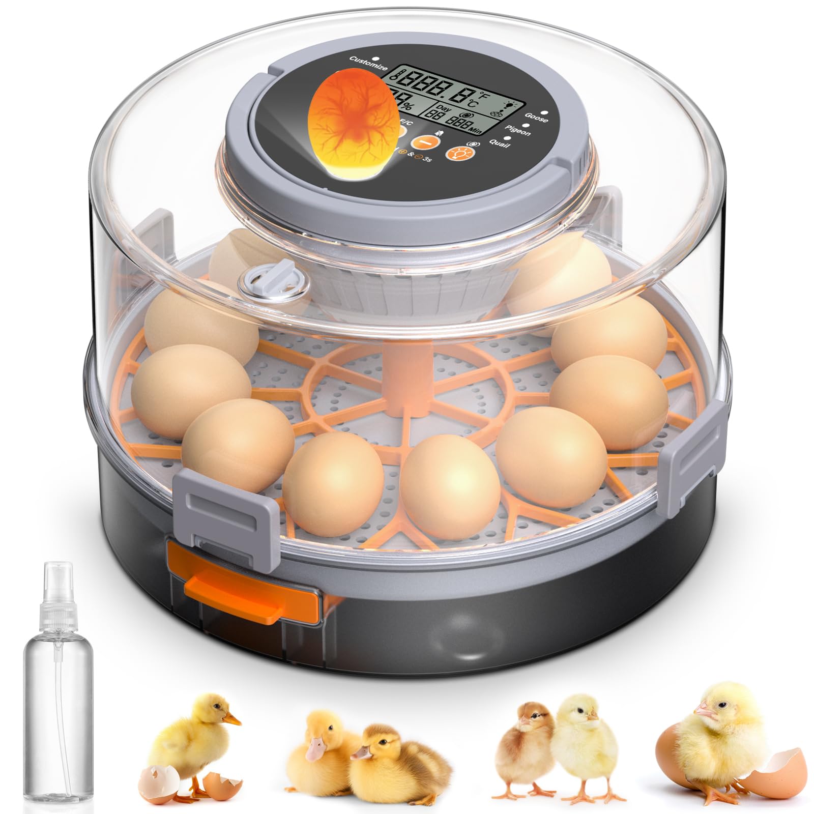 Brutautomat Vollautomatisch - Inkubator Für Hühner & Enten Eier