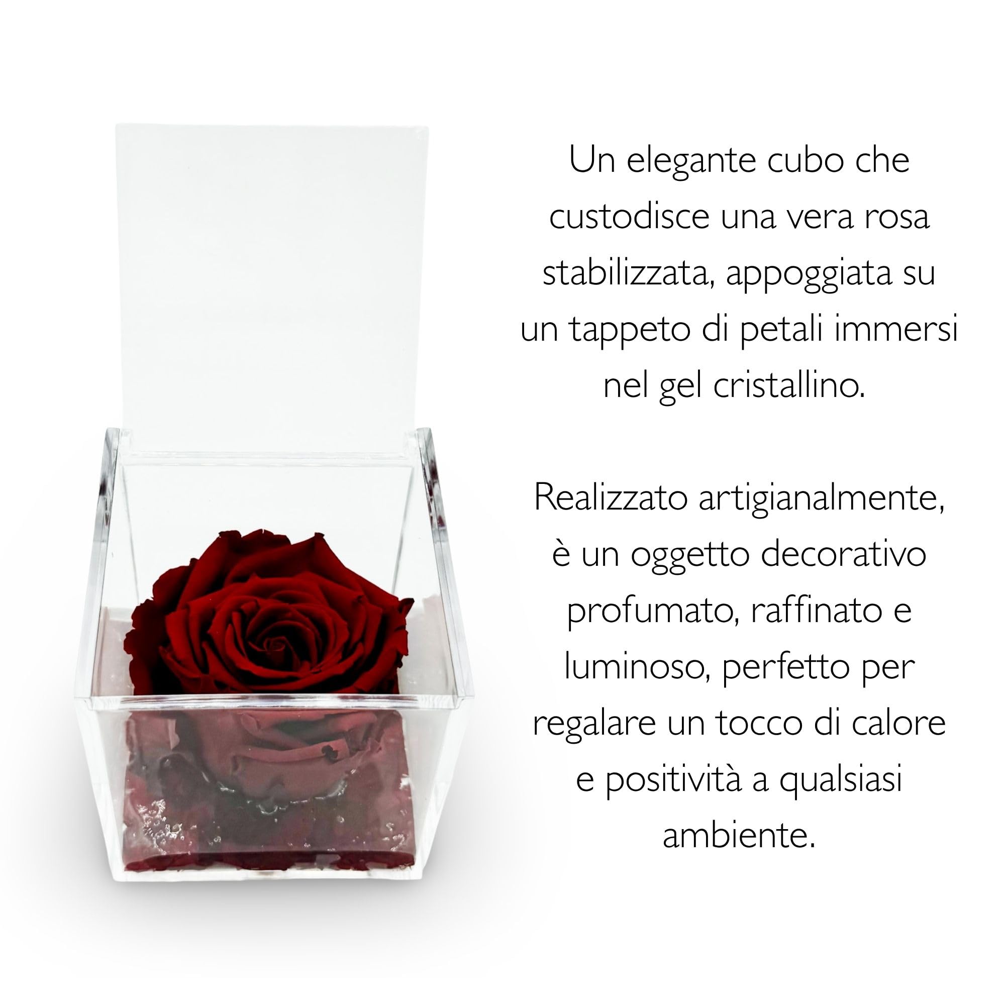 La Rosa dei SogniRosa stabilizzata profumata in Cubo Trasparente - Confezione Regalo Elegante - Durata 5-7 Anni - Made in Italy - 8x8 cm (Lilla)