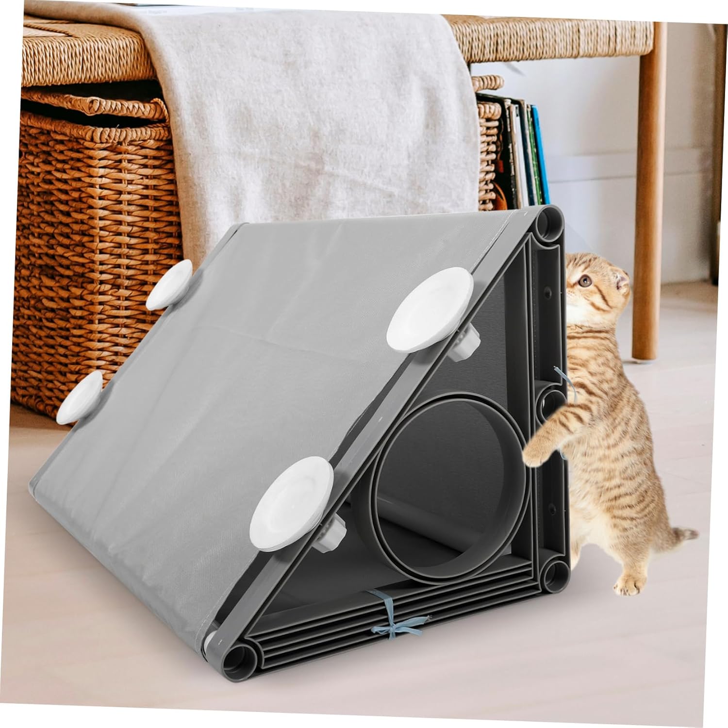 BESPORTBLE Pet Cat Tunnel Interactive Cat Tube for Indoor Play Encourages Exercise and Bonding Comfortable Material for Daily Use