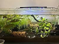 Review Image by Eugenia Eugenia