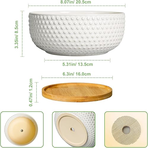 Miniatura 3 de Macetas para suculentas de 8 pulgadas, macetas de cerámica para bonsái para plantas de interior, maceta con orificio de drenaje y platillo, maceta