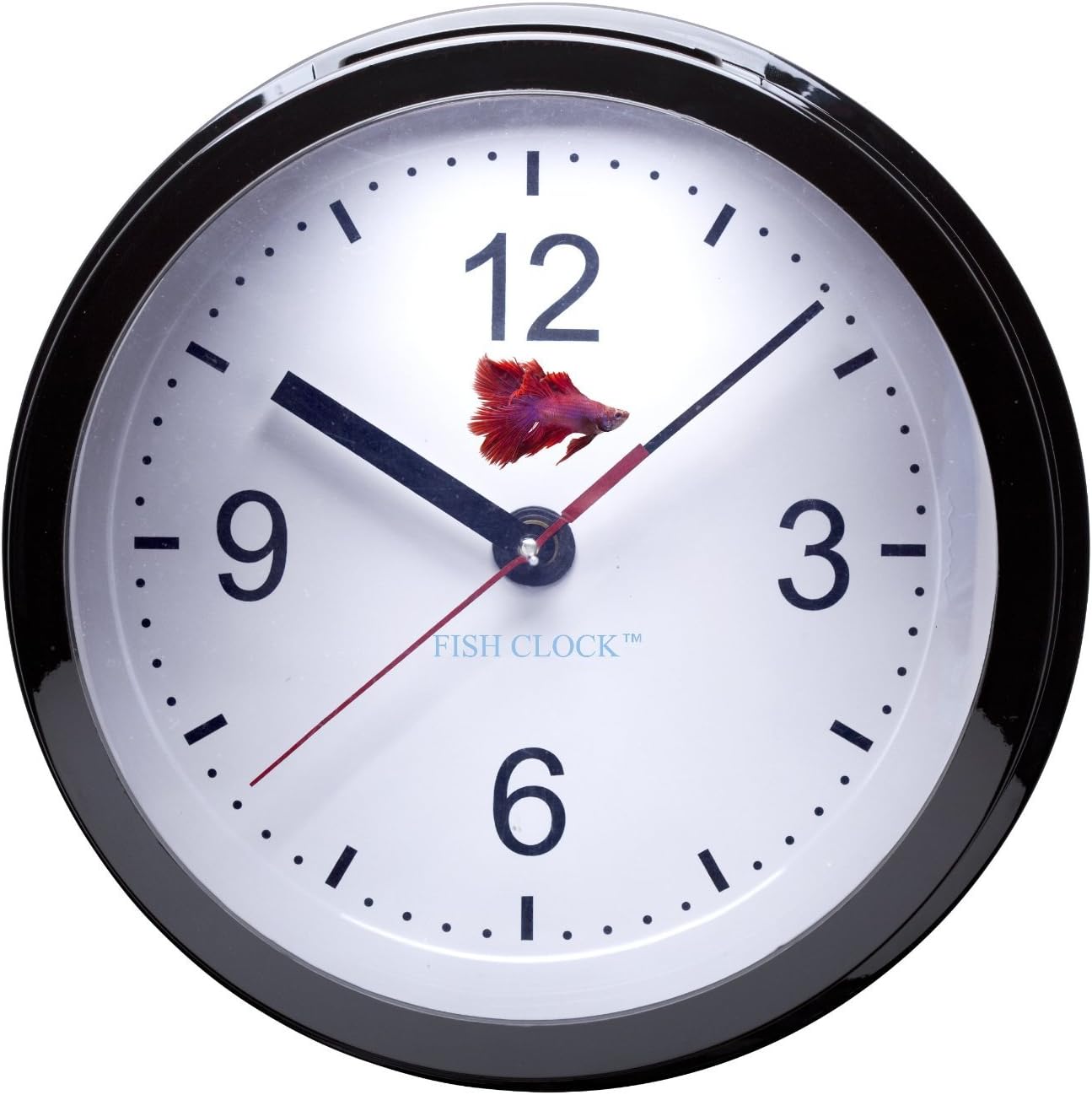 Outlook Design FISH CLOCK Acquarium clock for Beta fish, black