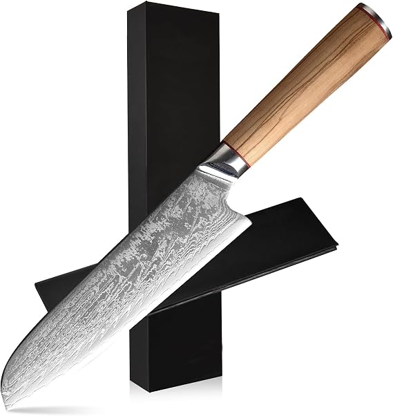 8 Inch Santoku Knife - Professional Japanese Kitchen Knife with 66-Layer Damascus Steel, Razor Sharp Edge, Ergonomic Handle