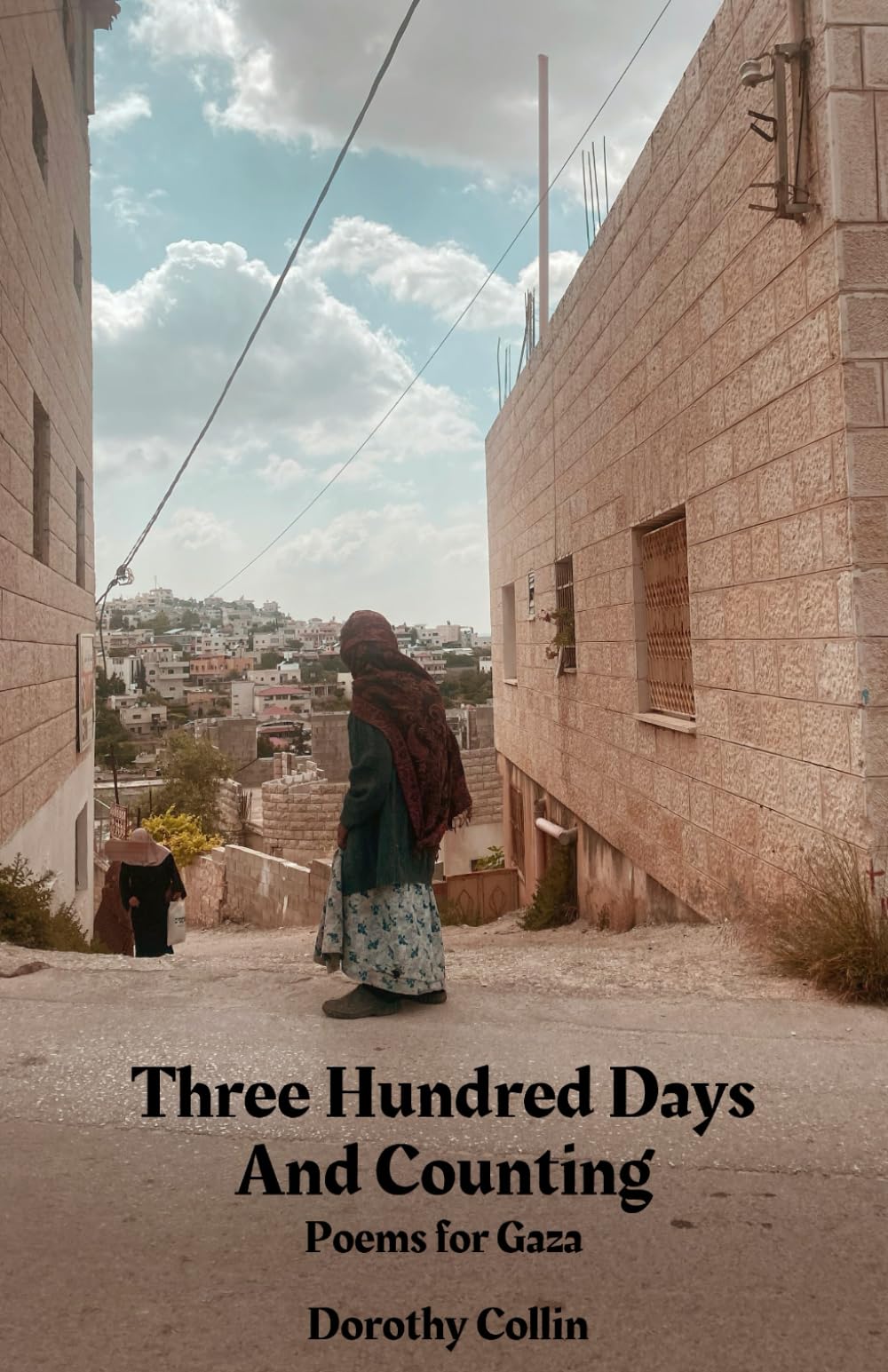 Three Hundred Days and Counting: Poems for Gaza