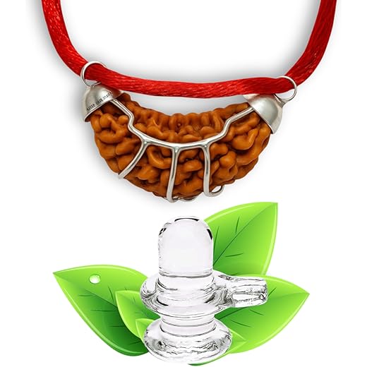 ASTRO CARE INDIA One face ek Mukhi Rudraksha With Sphatik Shivling Certified Original Nepali 1 Mukhi Kaju Rudraksh Natural one Faced Rudraksha Pendent (Brown) with SQ Lab Certificate