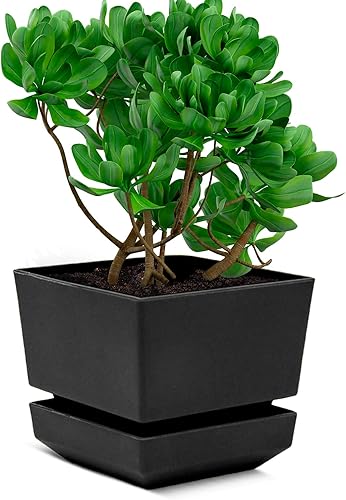 Cubiark Maceta cuadrada de 6 pulgadas, con bandeja de platillo y drenaje, moderna maceta de plástico, acabado texturizado para exteriores e