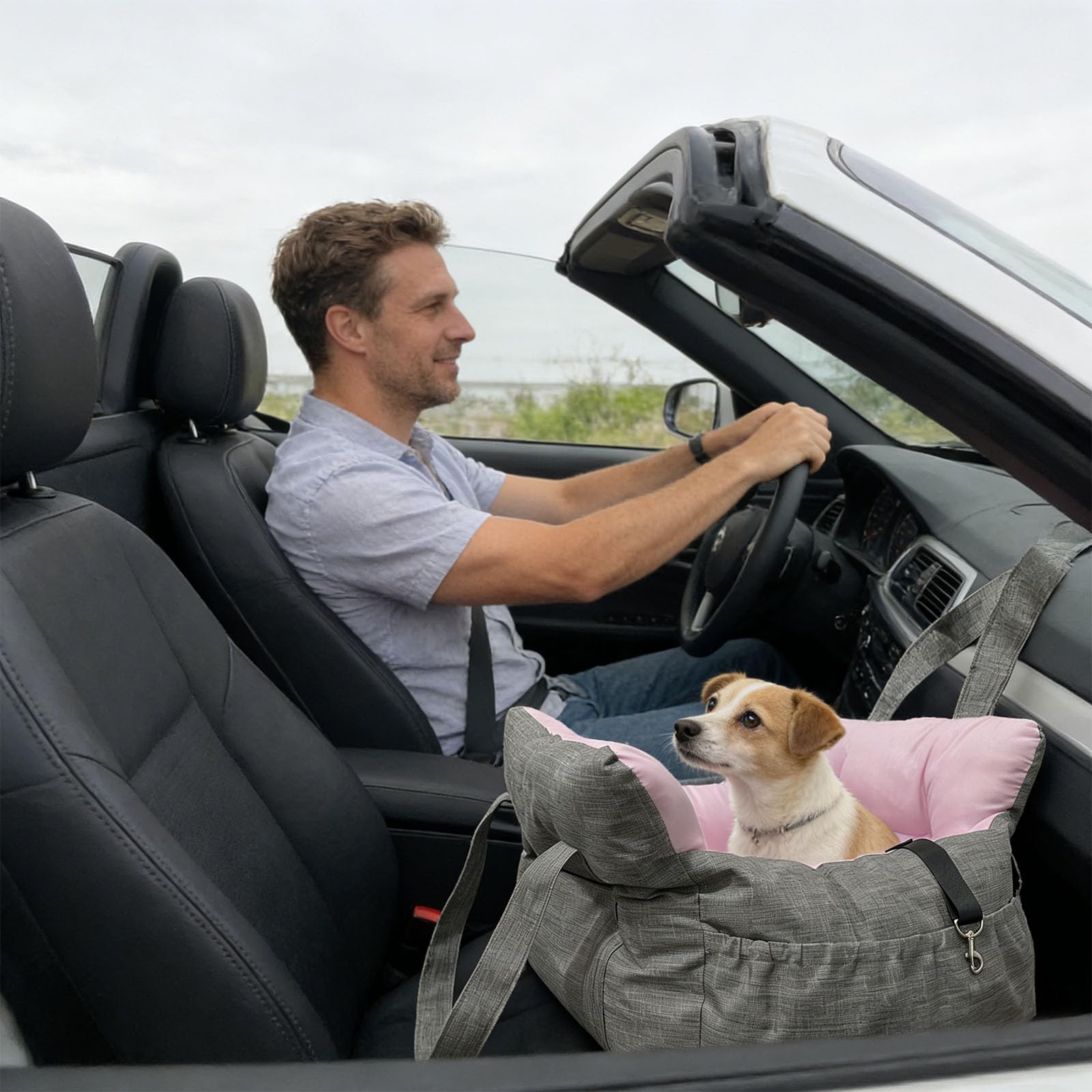 Alfombrilla para perros para viajes en coche y uso doméstico, con base y funda lavable a máquina, cama de transporte para mascotas con memoria