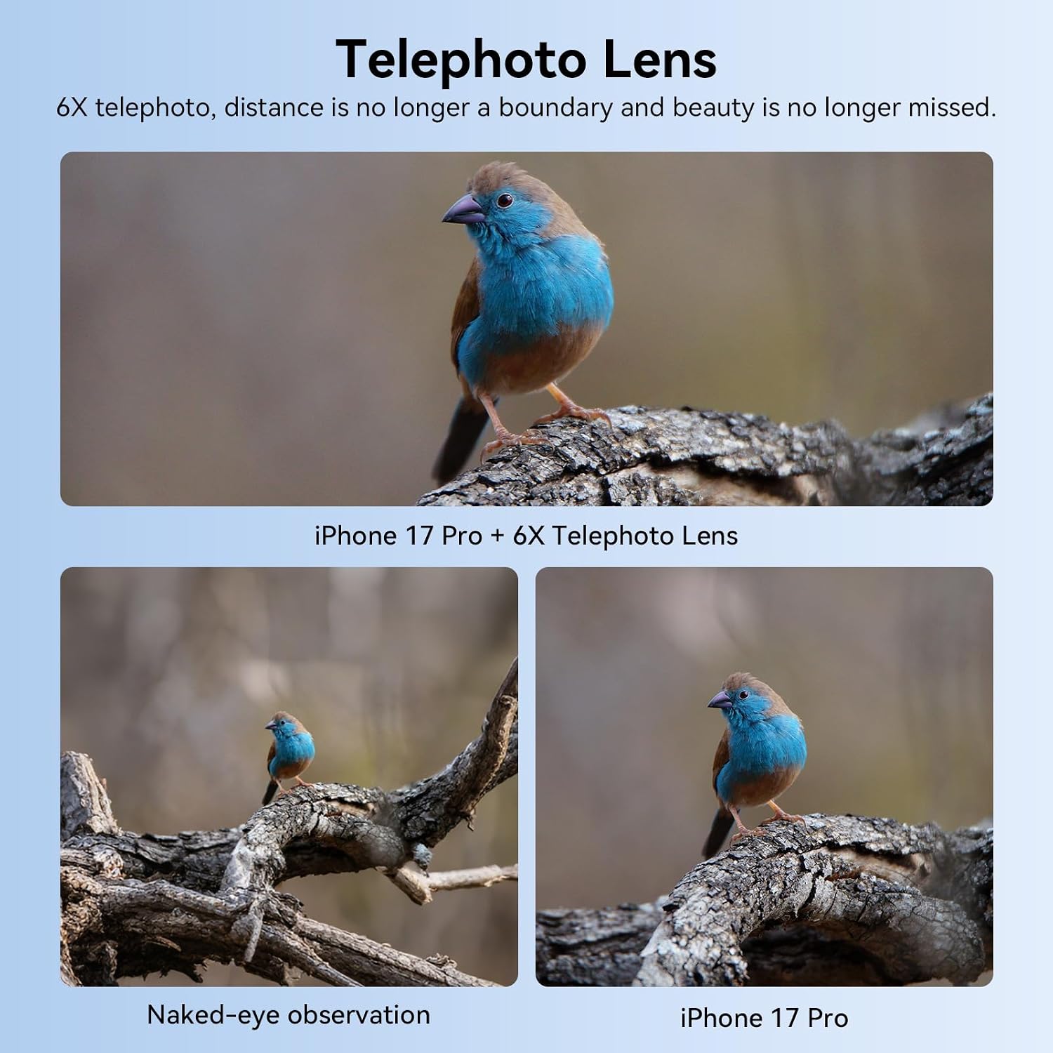 6X Telephoto Lens for Smartphone, HD Phone Camera Lens Kit with Universal Clip, Phone Lens Attachment for iPhone, Samsung and Android Phones, Wildlife, Sports, Concerts and Travel