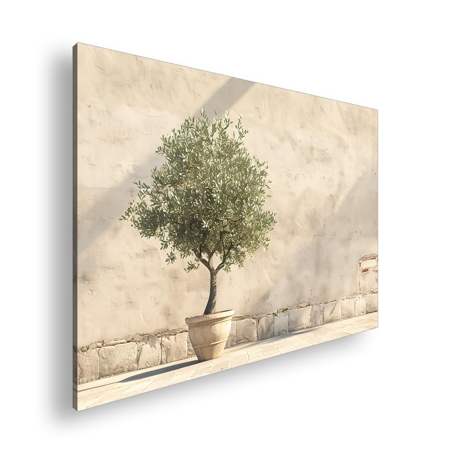 Farbenhorizont Leinwandbild Mediterraner Innenhof mit Olivenbaum, warmes Sonnenlicht Format: 120x80cm XXL Wandbild auf Keilrahmen/Kunstdruck/Bild Wohnzimmer Dekoration