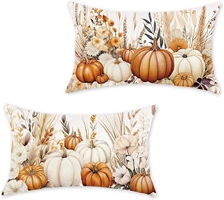 Fall Pumpkins Pillow Covers 12x20 Set of 2 | Pumpkin Floral Decorative Pillowcases, Thanksgiving Autumn Farmhouse Patio Outdoor Cushion Cases, For Sofa Couch Home Decor