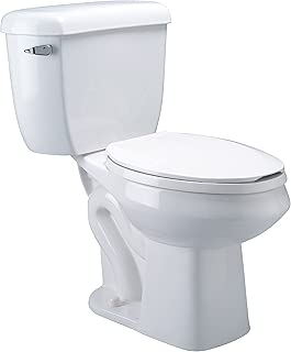 Zurn Z5572 Dual Flush, Elongated Pressure Assist, 1.6/1.0 gpf, Two-Piece Toilet - coolthings.us