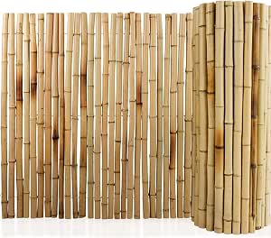 Floordirekt Bambus-Sichtschutzzaun Naturmaterial | Vollrohr Schilfrohrmatte | Schilfmatten Sichtschutz für Balkon, Terrasse oder Garten | Robust und witterungsbeständig (100 x 250 cm, Natur)