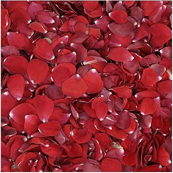 Sale on Romantic Real Red Rose Petals 1800 pcs = 30 Cups. Wedding Decorations from Flyboy Naturals. Red Confetti Petals.