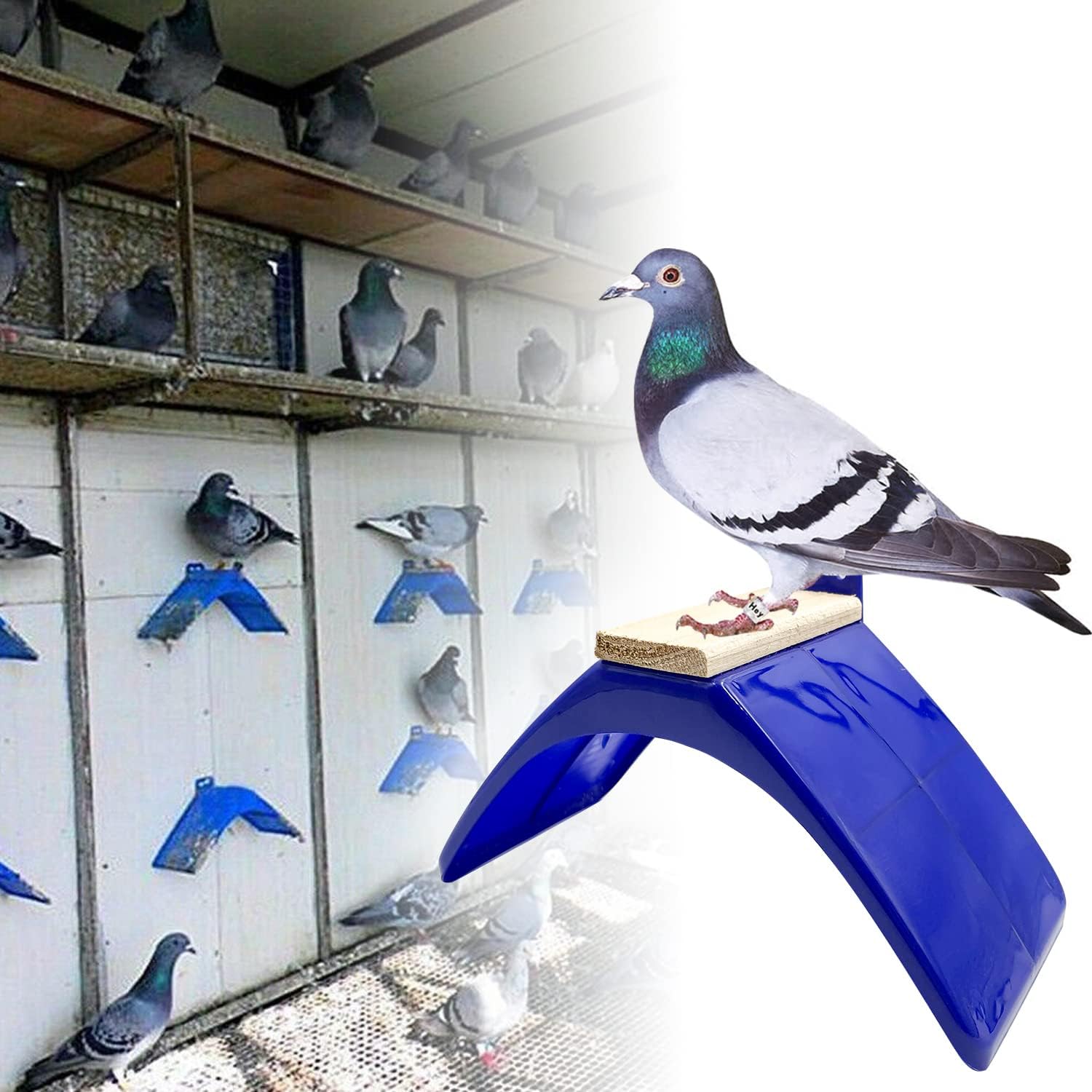 8PCS Lightweight Pigeons Perches,6PCS Pigeon Nest Bowl，6PCS Coconut Palm Mat for Racing Pigeons, Doves,Quails and Small Birds,Pet Cage Supplies