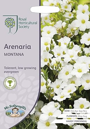 Amazon 輸入種子 Mr Fothergill S Seeds Royal Horticultural Society Arenaria Montana Rhs アレナリア モンタナ ミスター フォザーギルズシード 花