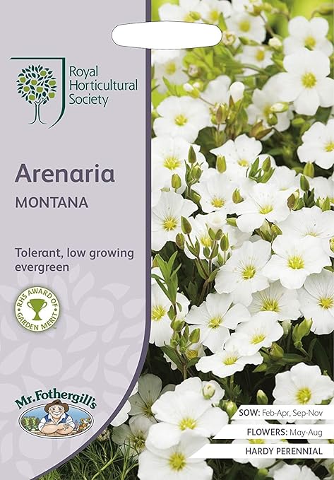Amazon 輸入種子 Mr Fothergill S Seeds Royal Horticultural Society Arenaria Montana Rhs アレナリア モンタナ ミスター フォザーギルズシード 花