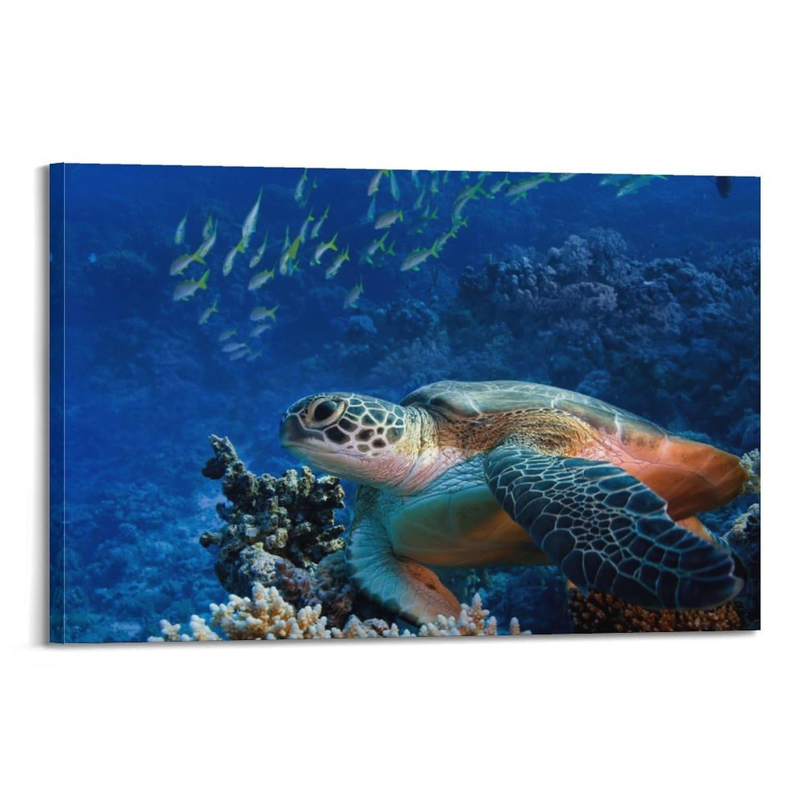 MJZLQN Marine Animal Poster Fish And Turtles on The Seabed Poster Decorative Painting Canvas Wall Posters And Art Picture Print Modern Family Bedroom Decor Posters 20x30inch(50x75cm)