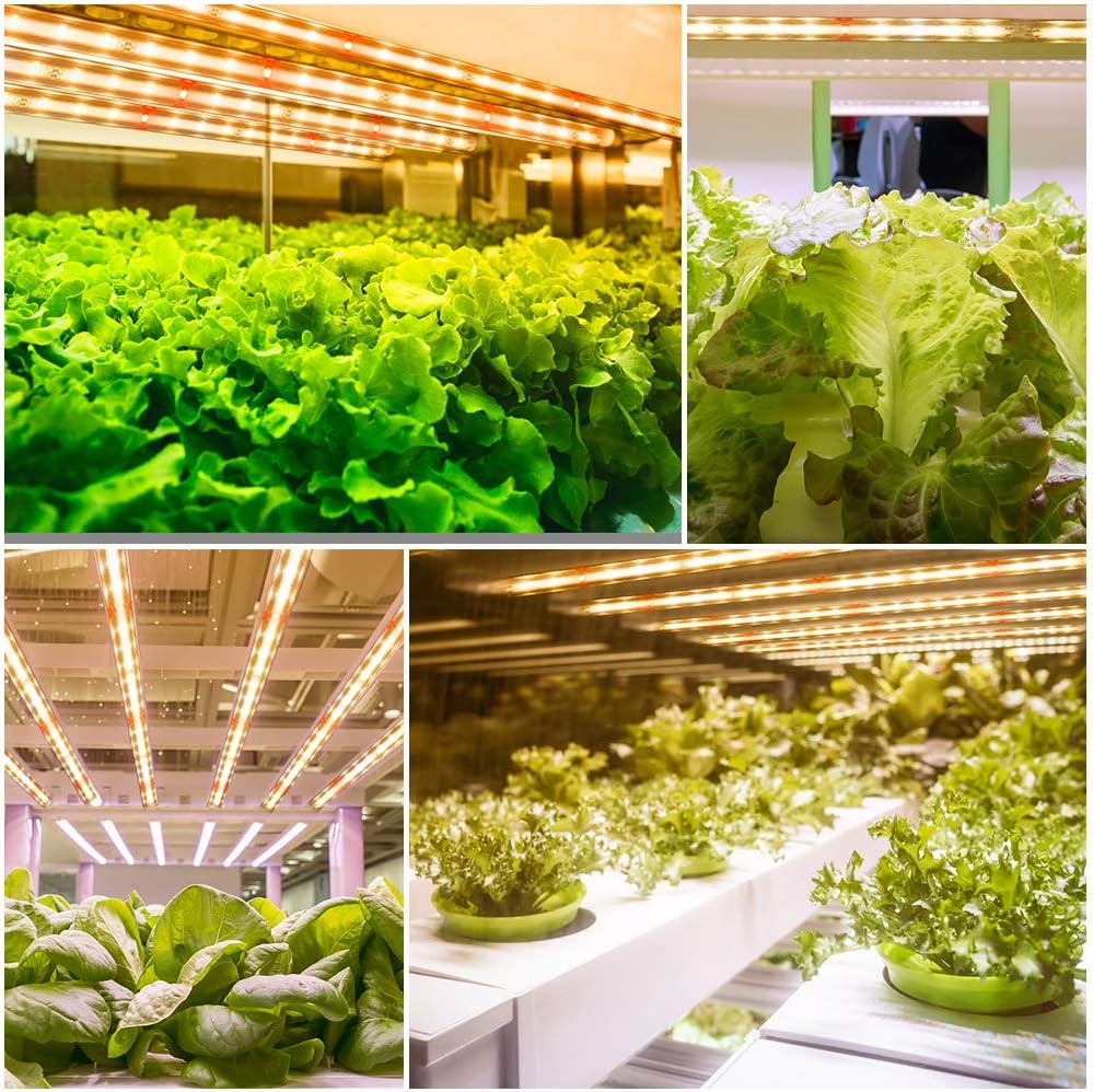 Roleadro Plant Grow Light, LM301B Chips & Red Full Spectrum T5 Grow Lamp with Timer Plant Lights Bar 4 Dimmable Levels for Indoor Tent Seedling Hydroponics - 4Pack
