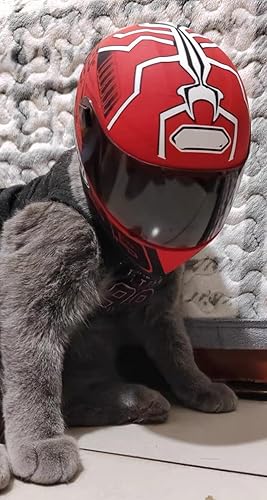 Miniatura 6 de Casco de motocicleta para mascotas, casco de motocicleta de cara completa para perros y gatos, casco de motocicleta para exteriores, para gato,