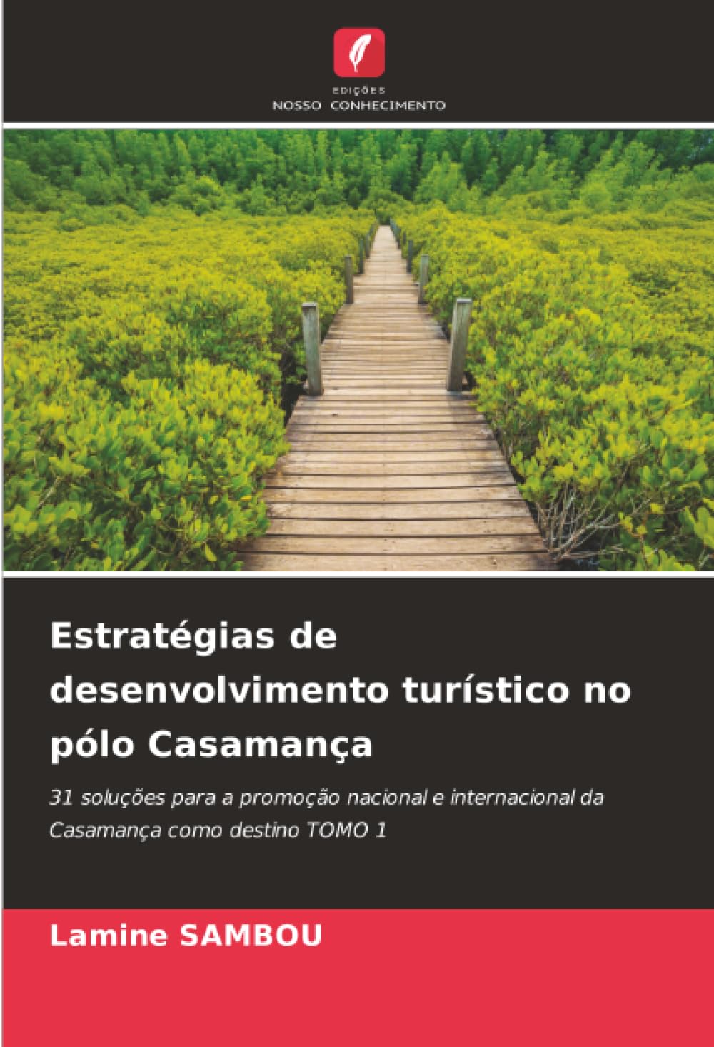 Estratégias de desenvolvimento turístico no pólo Casamança: 31 soluções para a promoção nacional e internacional da Casamança como destino TOMO 1