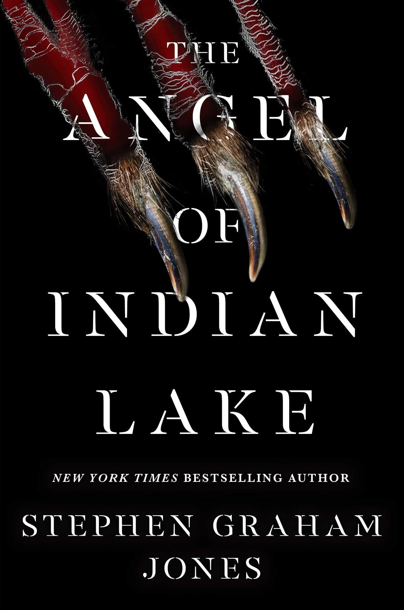 The Angel of Indian Lake (Volume 3)