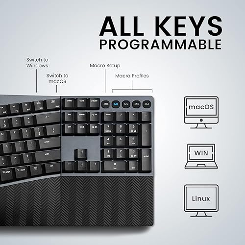 Miniatura 9 de Perixx PERIBOARD-535BL - Teclado mecánico ergonómico con cable de tamaño completo, interruptores azules de perfil bajo, función programable con