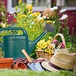 Universal Watering Can Head,Watering Can Head Sprinkler Replacement,2Pcs Leakproof Sprinkler Head,Bonsai Watering Can for Indoor Seedlings