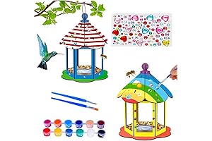 Arts and Crafts Bird Feeders for Outside, DIY Painting Woodcraft Building Projects 2 Pack
