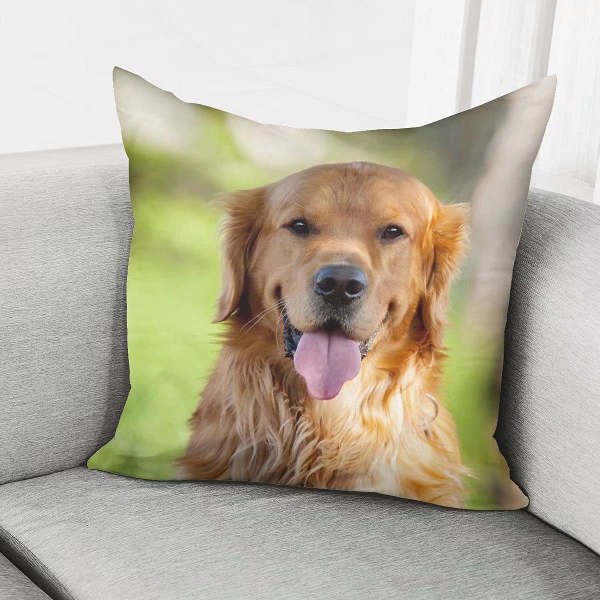 Federa per cuscino a forma di cane in stile acquerello, 45,7 x 45,7 cm, decorazione per bambini, adolescenti, adulti, patchwork, stile rustico, per camera da letto e ufficio