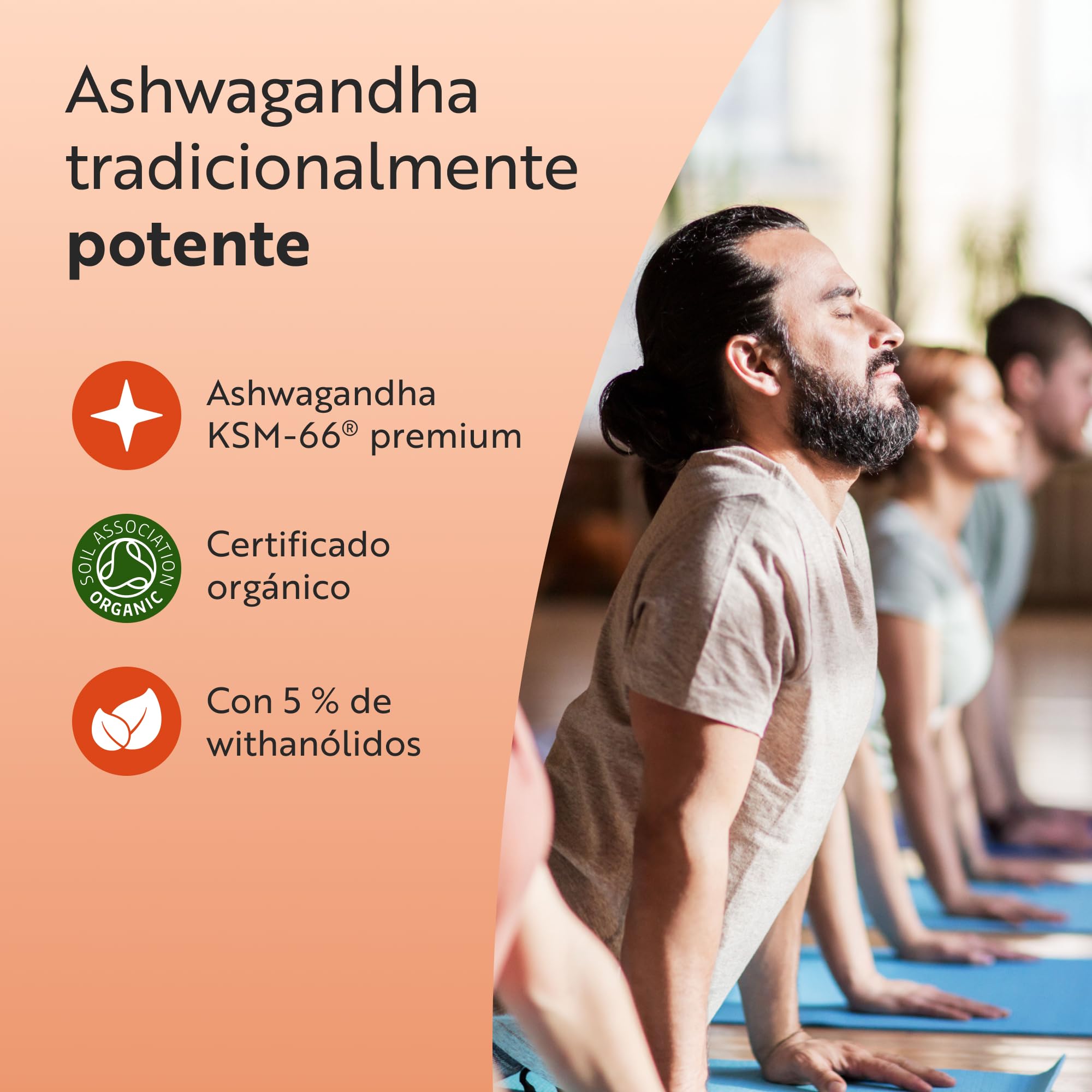 Nutravita Ashwagandha Orgánica 500mg - KSM-66® Sin Excipiente. 100% Natural Cápsula Vegana de Ashwagandha - Suplemento adaptógeno Ayurveda Ginseng Indio (Withania Somnifera) Antiflamatorio natural