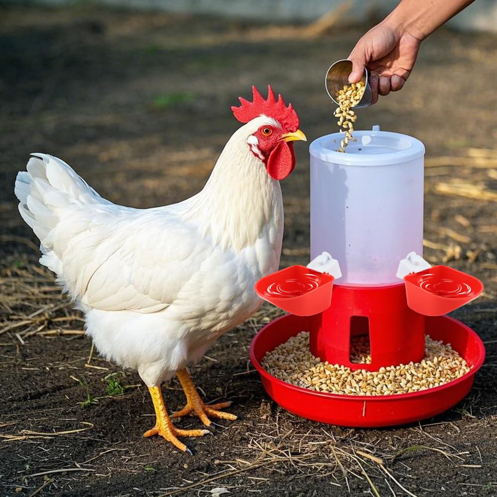 Bebedero Gallinas, 4 Piezas Grandes, Adecuado para Regador para Aves, Palomas, Pollos, Patos(9 x 10,5 cm)