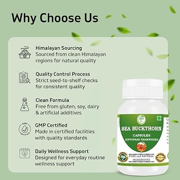 Sea Buckthorn Oil Capsule (Hippophae rhamnoides) Omega 7 | Pack of 60 x 500 MG. Vegetarian Capsules | Natural Herbal Supplement | GMP Certified | Gluten Free | Pack of 1| Morsan Healthcare