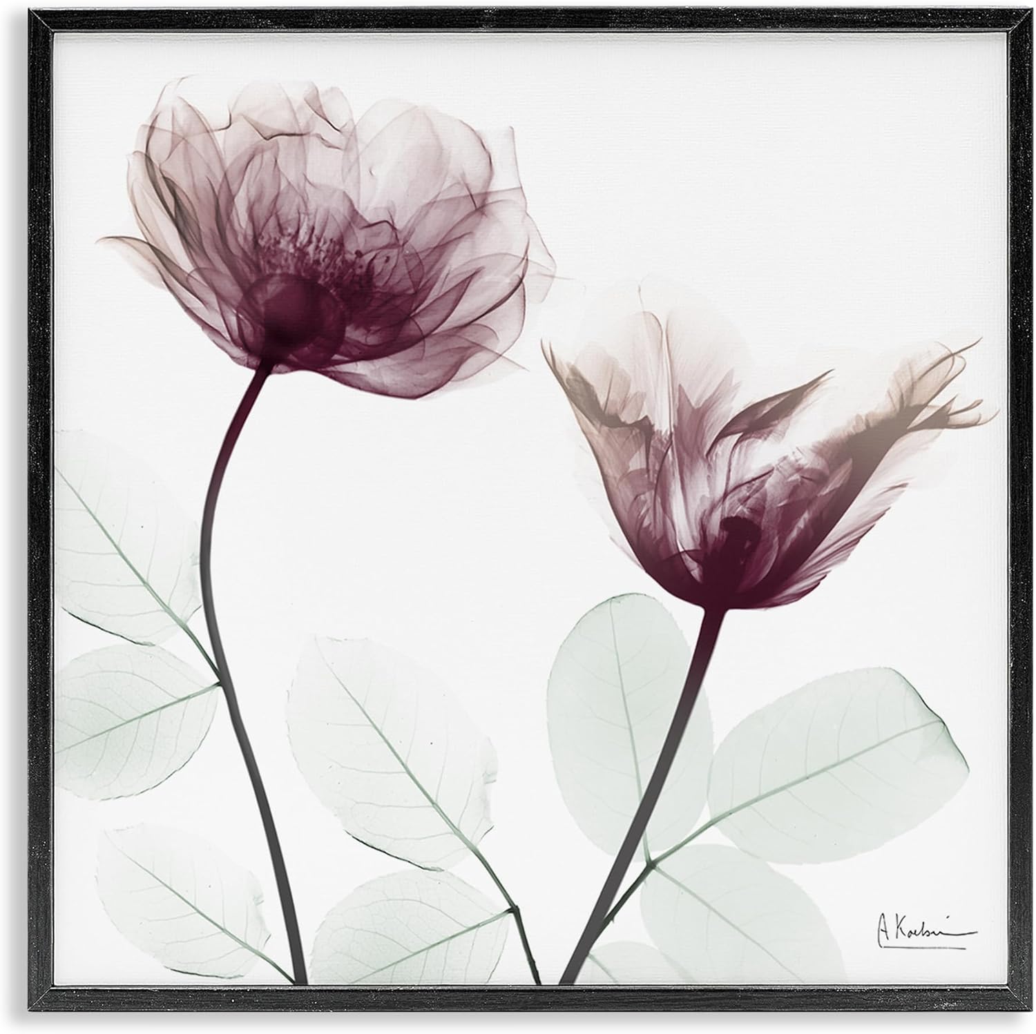 Stupell Industries Minimalist Translucent Flowers Black Framed Giclee Art, design by Albert Koetsier, 24 x 24
