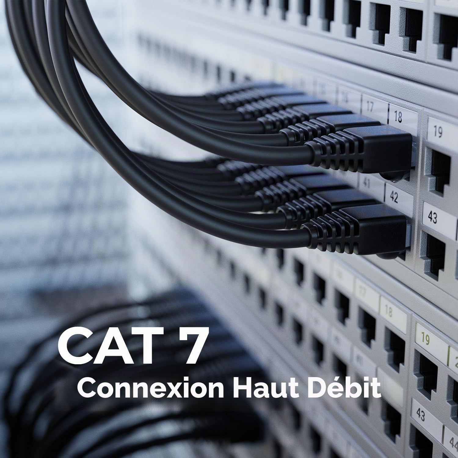 deleyCON 100m Câble D'installation CAT7 Kit D'installation Incl. Pince à Sertir Attaches de Câble & 50 Connecteurs RJ45 - S/FTP 600MHz 10 Gbit/s AWG26 Cuivre BC - Résistant Aux Intempéries - Noir