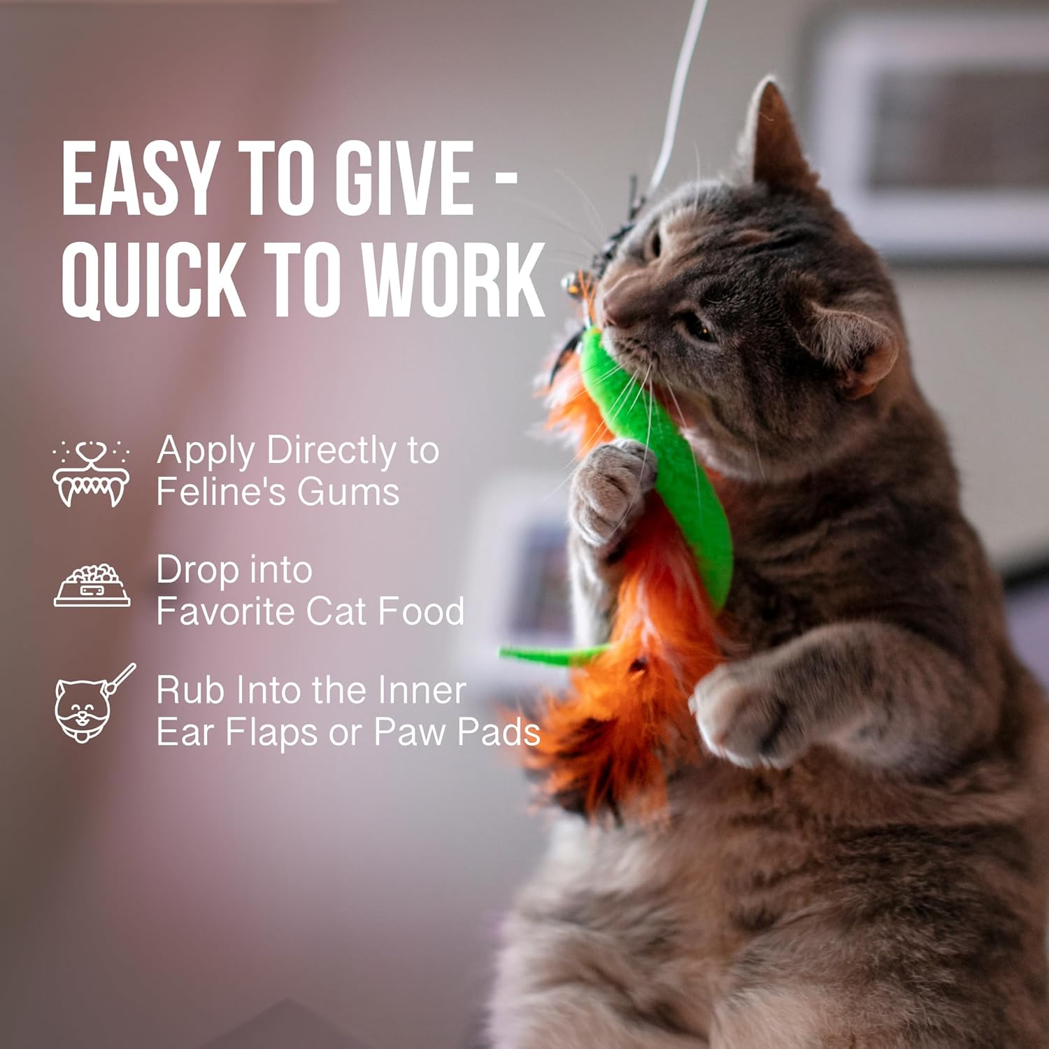 Ease for Cats - Natural Cat Hemp Oil for Mobility & Joint Support - Senior Cat Wellness Drops for Hip & Joint Comfort