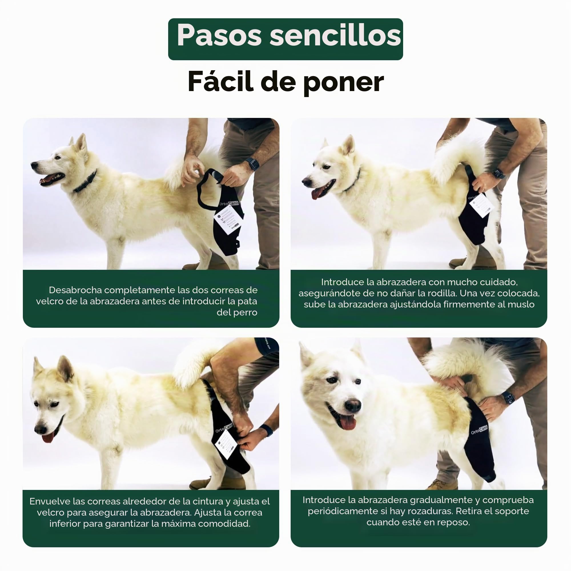 Ortocanis - Inmovilizador de Rodilla para Perro - Rodillera para Pierna Izquierda - Lesiones, Rotura de Ligamentos, Luxación de Rótula y Postoperatorio - Neopreno Especial - Talla: L de 33 a 36 cm